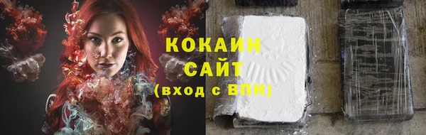 амф Белокуриха