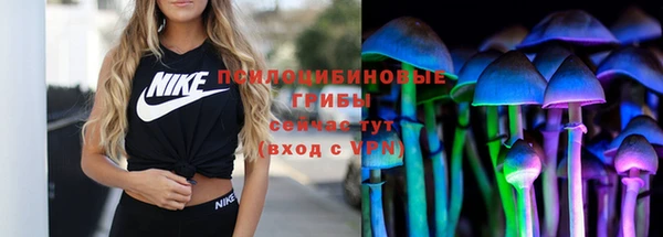 амф Белокуриха