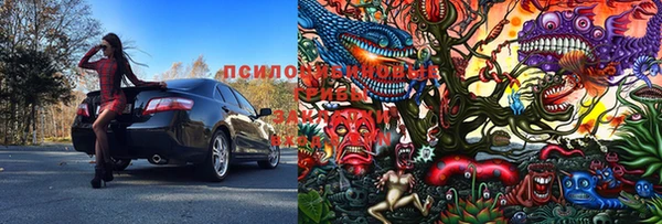 амф Белокуриха