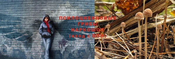 первитин Белоозёрский
