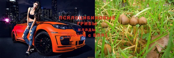 амф Белокуриха