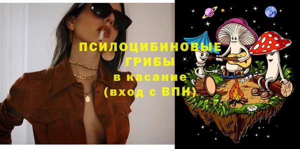 амф Белокуриха