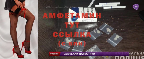 прущие грибы Тихвин