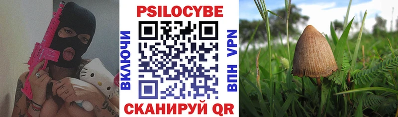 Галлюциногенные грибы MAGIC MUSHROOMS  Верхний Тагил 